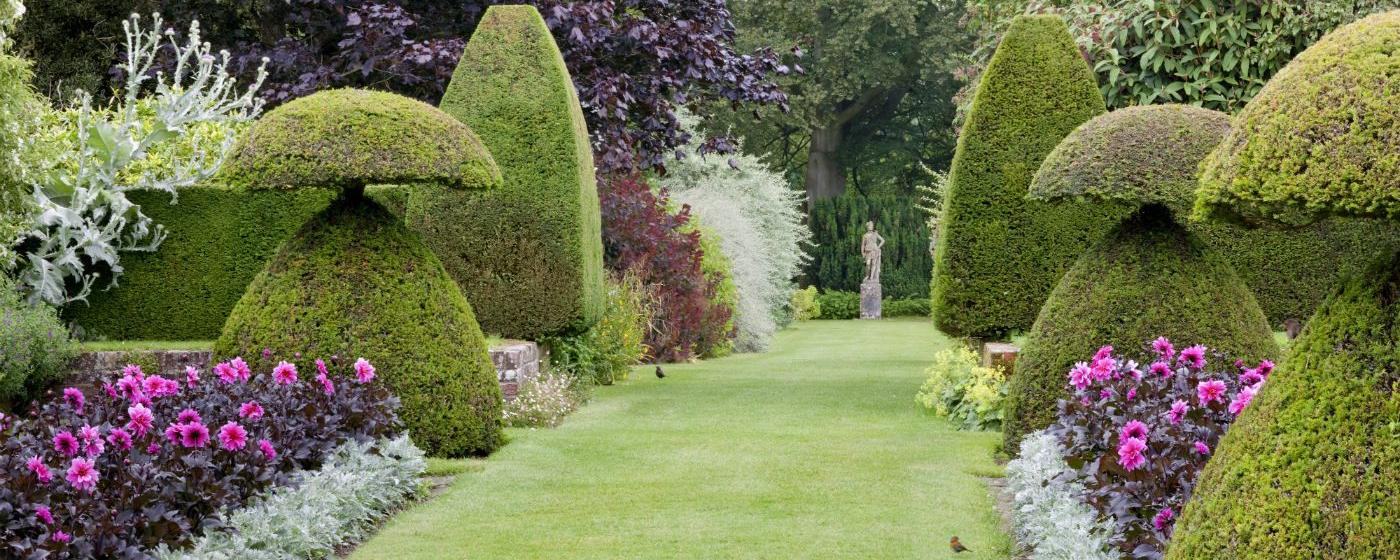 Hinton Ampner
